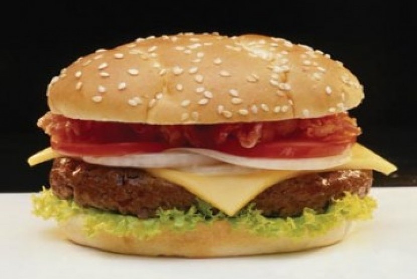 Burger, ilustrasi