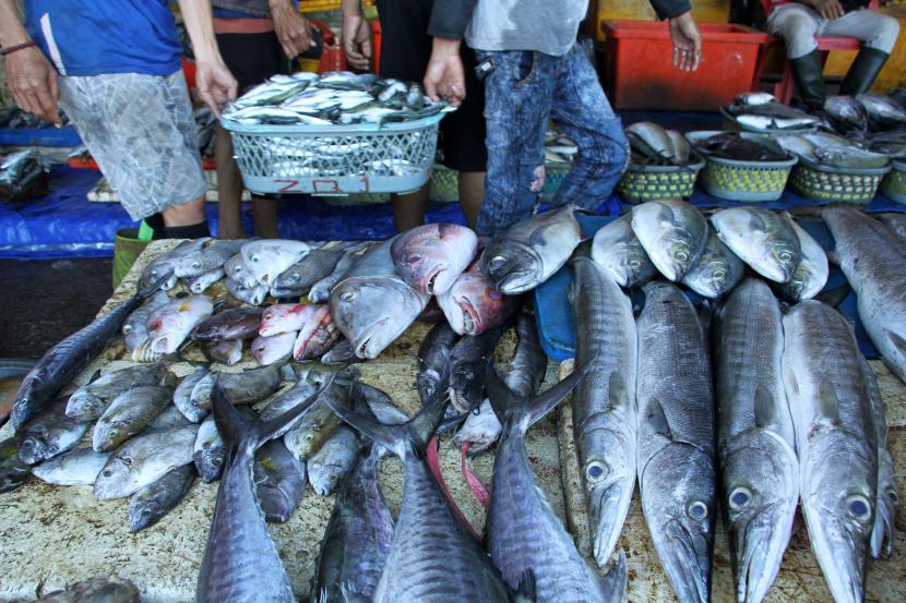Ikan hasil tangkapan nelayan (ilustrasi). Pemerintah Kota Payakumbuh, Sumatra Barat, mencatat angka konsumsi ikan masyarakat di daerah tersebut terus meningkat setiap tahunnya.