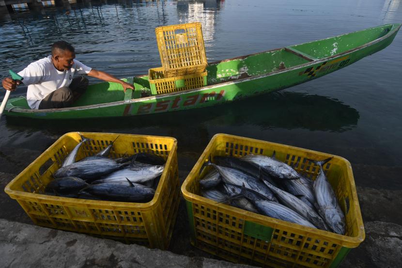 Buruh mengangkut ikan hasil tangkapan nelayan di PPI Donggala di Kabupaten Donggala, Sulawesi Tengah. Badan Logistik dan Rantai Pasok Kadin Indonesia akan melakukan pemetaan atas lima komoditas esensial, strategis dan yang berorientasi ekspor di sektor perikanan.