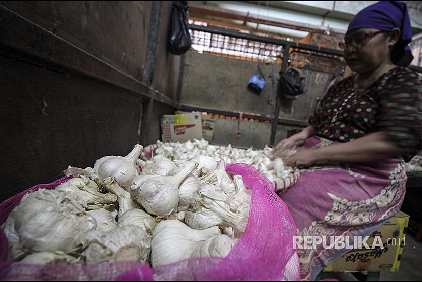 Buruh mengupas bawang putih di Pasar Induk Kramat Jati, Jakarta, Selasa (27/3). Menurut pedagang setempat, berkurangnya pasokan bawang putih menyebabkan harga bawang putih berangsur naik. Untuk bawang putih kating dijual Rp55.000 per kilogram, sementara bawang putih biasa dijual seharga Rp28.000 per kilogram. 