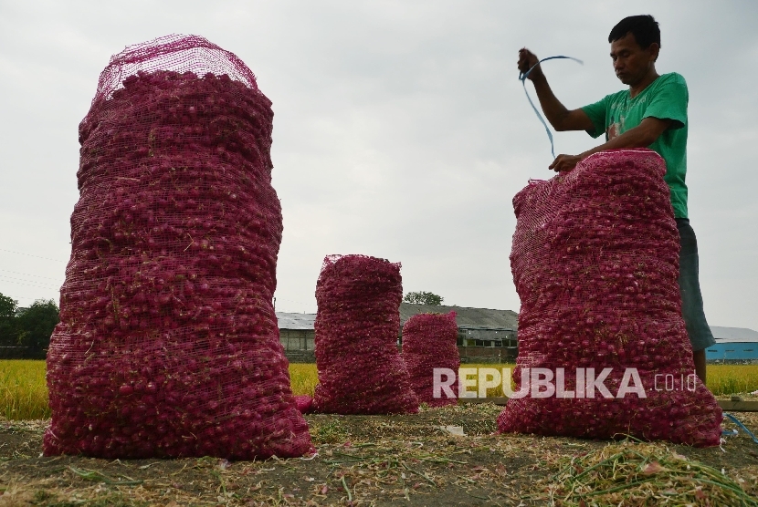 Buruh pembersih bawang memindahkan bawang yang akan disortir di Pejagan, Brebes, Jawa Tengah, Selasa (18/7).