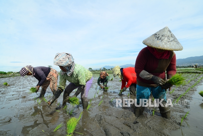 Pekerja menyelesaikan proyek pelebaran jalur wisata menuju Banten Selatan di Kampung Baru, Curug, Serang, Banten. (ilustrasi). 