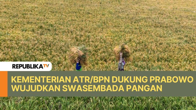 Buruh tani memanggul gabah usai panen di areal persawahan padi Desa Jamus, Mranggen, Demak, Jawa Tengah.