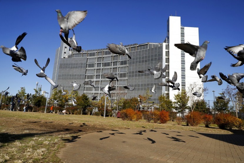Burung merpati terbang di sekitar Tokyo Detention Center, Tokyo, Jepang. Bank of Japan (BOJ) pada Senin (8/4) memangkas penilaian untuk tiga dari sembilan wilayah negara itu.