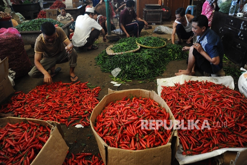 Cabai Turun Pedagang sedang memilah cabai merah berjenis TW di Pasar Induk, Jakarta, Selasa (23/2).