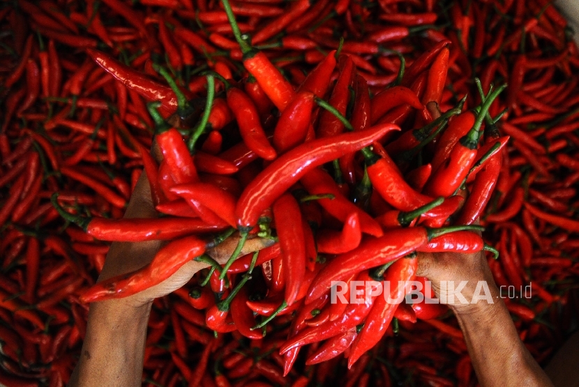 Cabai (ilustrasi) Setelah sempat turun, harga cabai merah dan bawang merah naik lagi di pasar tradisional Kota Bandar Lampung, Senin (1/8/2022).