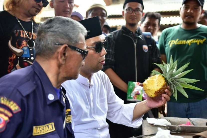 Cagub Jabar nomor urut 1 H Ridwan Kamil mencicipi nanas madu khas Kabupaten Subang saat berkunjung ke Pasar Pamanukan, Kabupaten Subang, Kamis (22/2).
