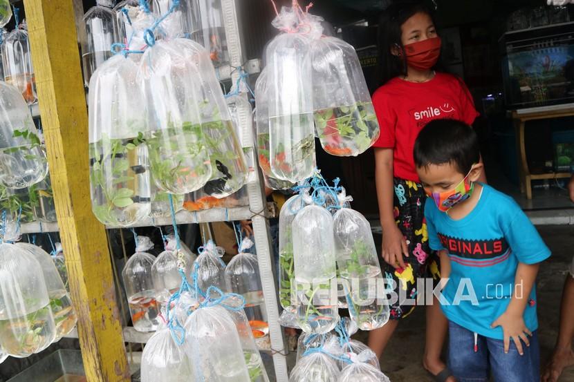 Calon pembeli memilih ikan hias, di pasar Tanjung Anyar Kota Mojokerto, Jawa Timur, Sabtu (28/11/2020). Penjualan ikan hias meningkat sejak pandemi COVID-19 yang membuat masyarakat mencari hobi baru dengan memelihara ikan hias di rumah.