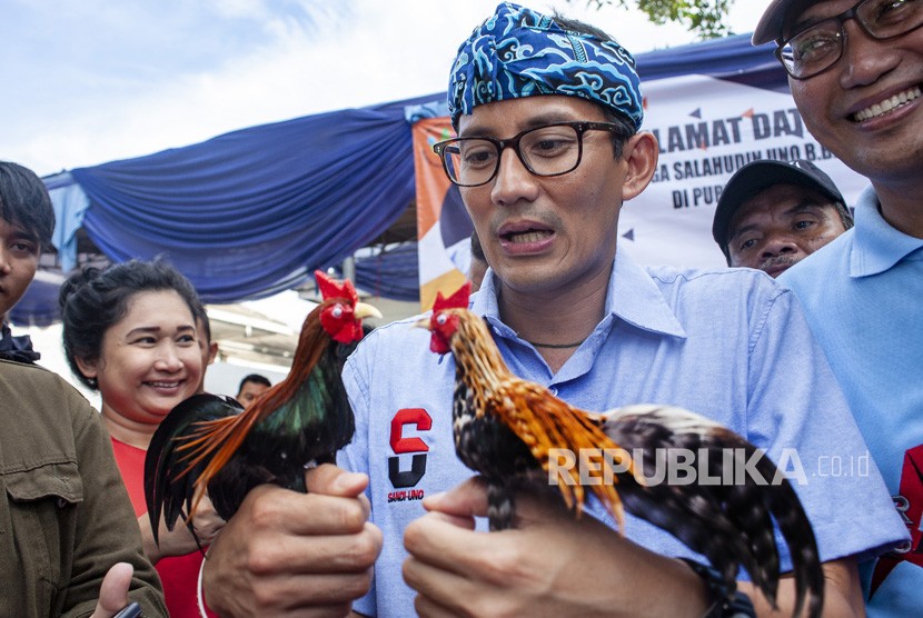 Calon Wakil Presiden nomor urut 02 Sandiaga Salahudin Uno (tengah) memainkan boneka ayam saat kunjungan di Purwakarta, Jawa Barat, Rabu (14/11/2018). 