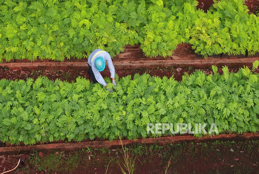 Capaian pengurangan emisi GRK ANTAM pada 2024 tercatat sebesar 5,72%