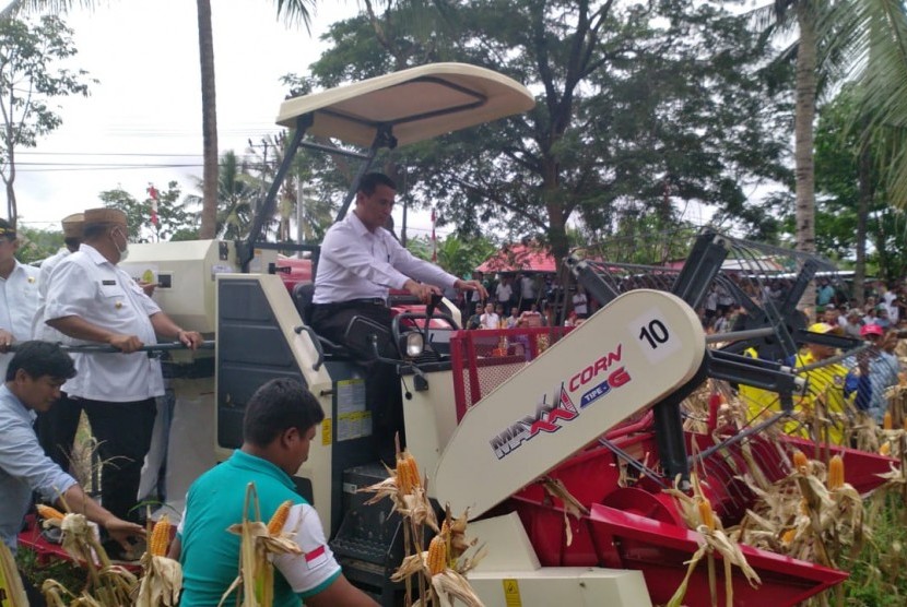 Caption: Dengan menggunakan alat pertanian, traktor, Mentan Andi Amran Sulaiman melakukan panen raya jagung, di Kabupaten Gorontalo, Provinsi Gorontalo, Rabu (30/1). 