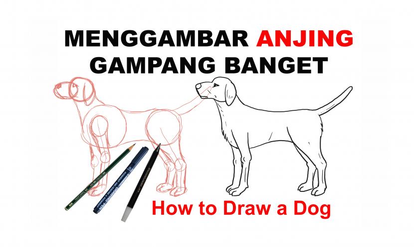 cara mudah menggambar anjing tahap demi tahap