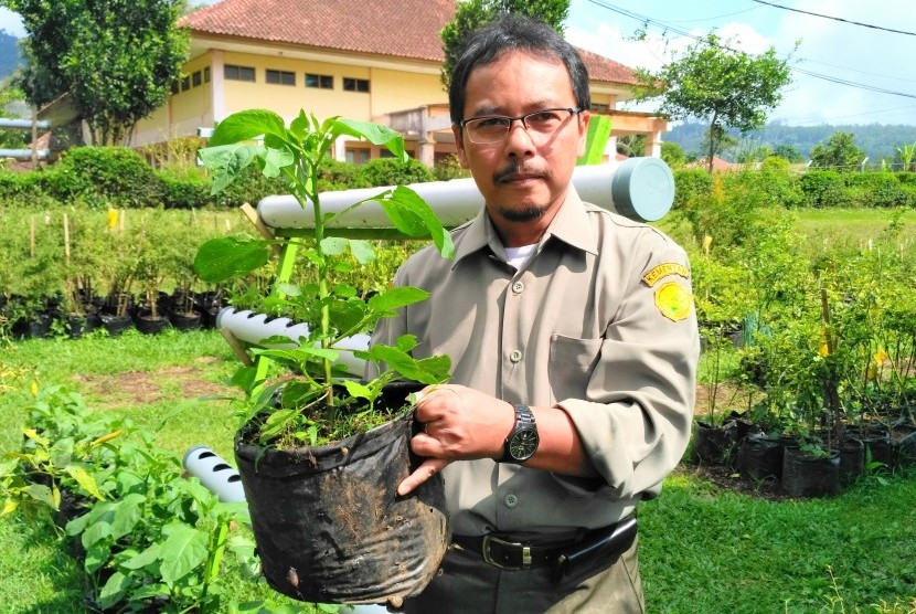 Catur Hermanto, Kepala Balitsa Lembang.