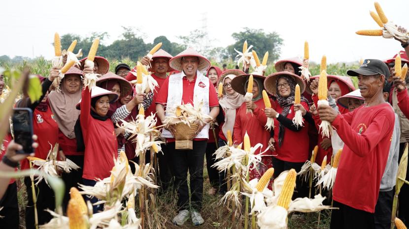 Cawalkot Bekasi Tri Adhianto, saat ikut panen jagung bersama petani.