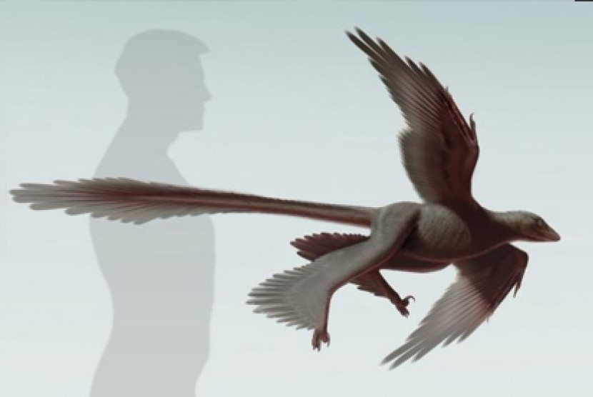 Changyuraptor Yangi.