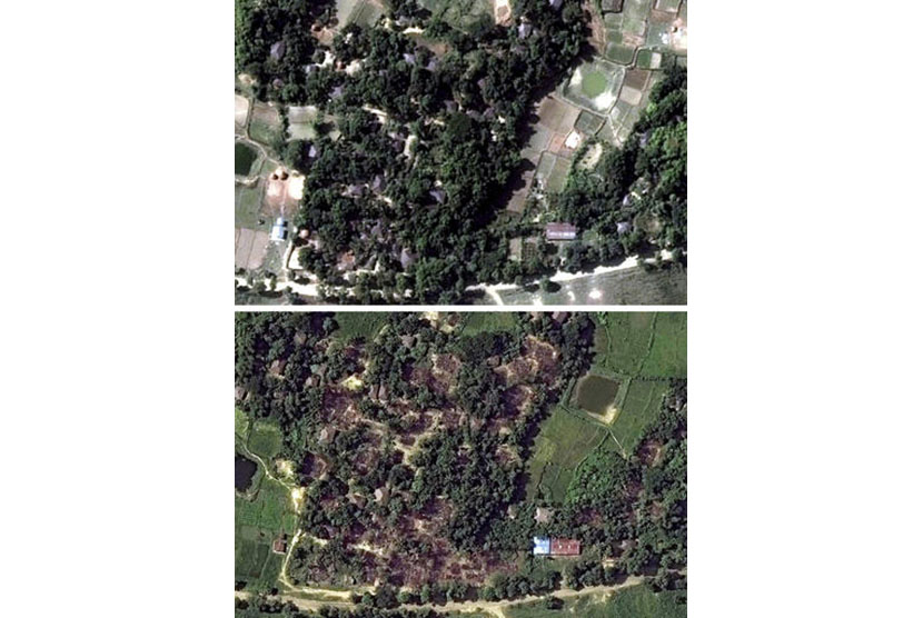 Citra satelit Digital Globe yang dirilis Human Rights Watch, 21 November 2016 menunjukkan Desa Wa Peik, Maungdaw District, Myanmar dimana etnis Rohingya tinggal pada 2014 (atas) dan setelah dihancurkan (bawah) pada 10 November 2016.