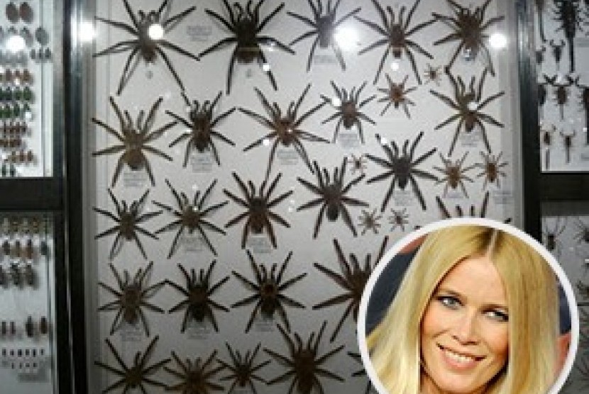 Claudia Schiffer, artis yang hobi mengoleksi serangga