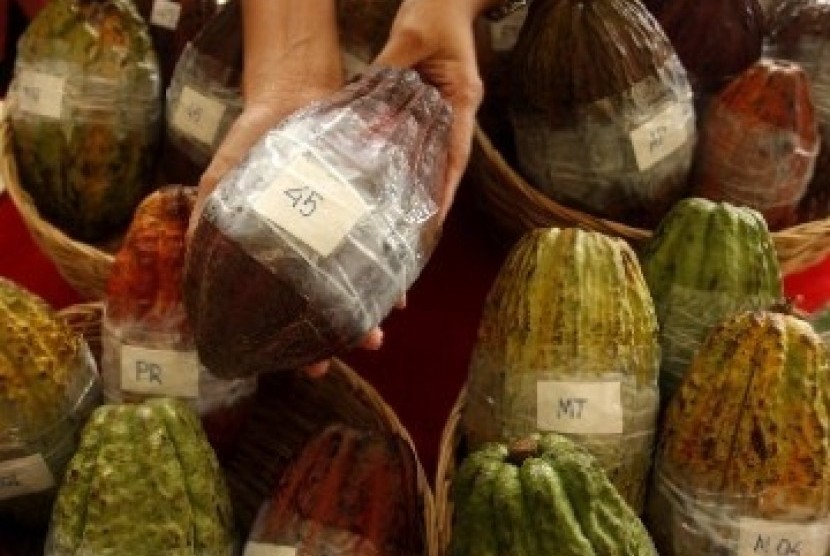 Cocoa is a commodity which potential to lift many livelihoods in Indonesia.  