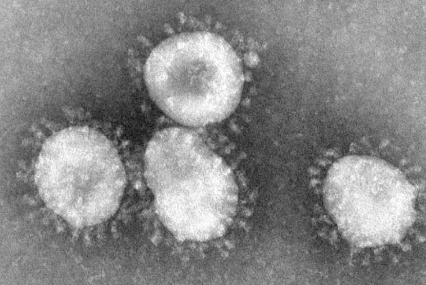 Virus corona. (ilustrasi)