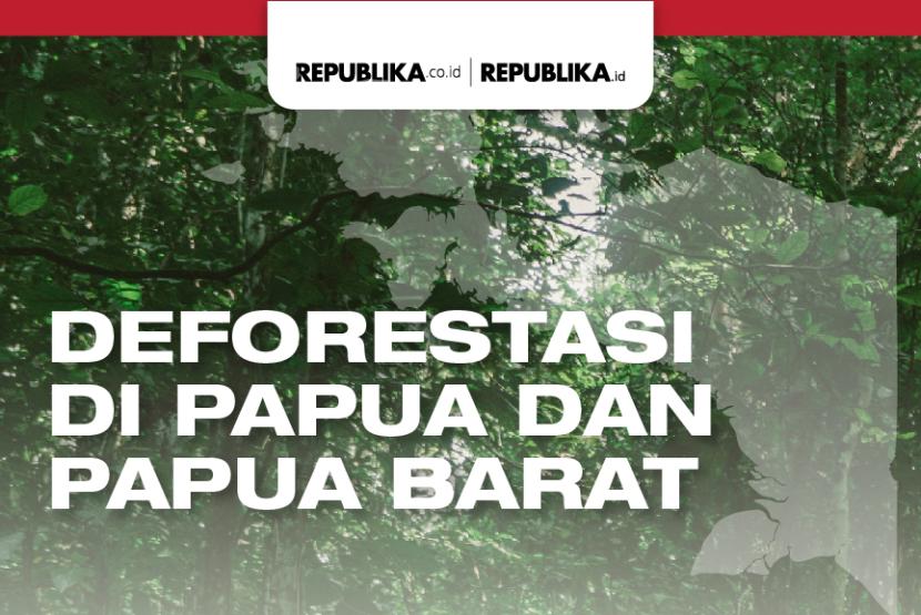 Deforestasi di Papua.