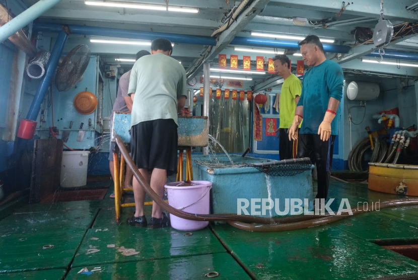 CV Yong Fisheries mengekspor lima ton ikan kerapu hidup ke Hong Kong, Rabu (12/3/2025).