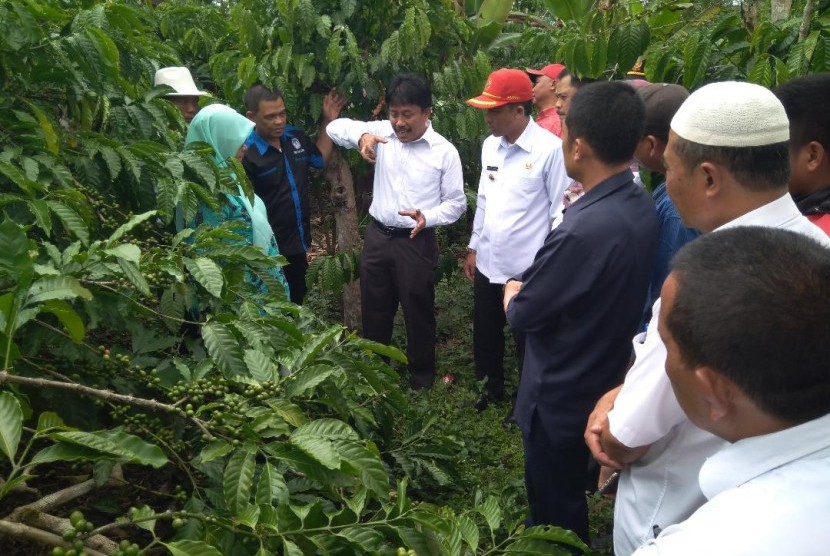  Dirjen Perkebunan Kementerian Pertanian Bambang (ketiga dari kiri) sedang berbincang dengan para petani kopi di Kabupaten Lampung Tengah, Rabu (31/1). 