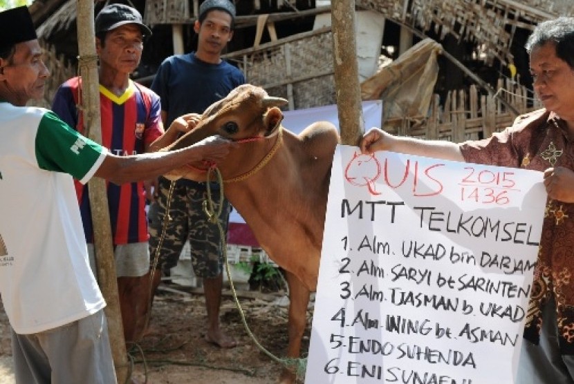 daging kurban daarul quran menembus dusun sombang, sumenep, jawa timur