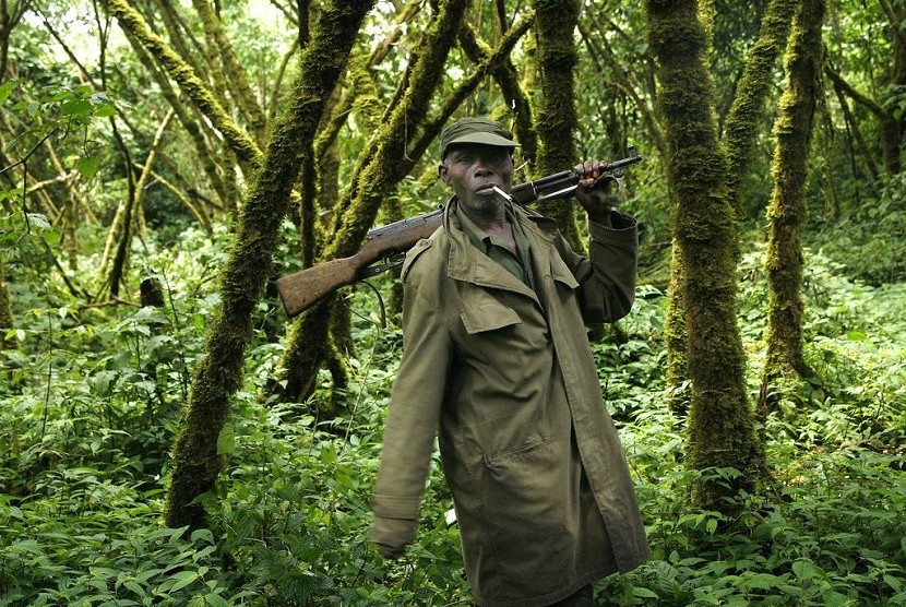  Dalam file foto yang diambil pada 25 November 2008 ini seorang penjaga sedang mengawal pengunjung di Taman Nasional Virunga, dekat perbatasan Uganda di Kongo timur. Pihak berwenang di Kongo mengatakan lima penjaga dan seorang pengemudi tewas dalam serangan di Taman Nasional Virunga.