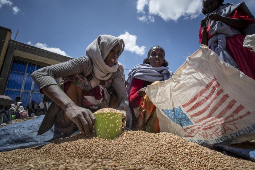 Dalam foto arsip Sabtu, 8 Mei 2021 ini, seorang wanita Ethiopia mengambil porsi gandum untuk dibagikan kepada setiap keluarga yang menunggu setelah itu didistribusikan oleh Lembaga Pertolongan Tigray di kota Agula, di wilayah Tigray di utara Etiopia.