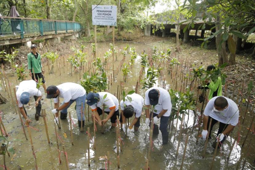  Dalam rangka memperingati hari pohon sedunia, PT Pupuk Indonesia melakukan penanaman 5.500 bibit mangrove. 