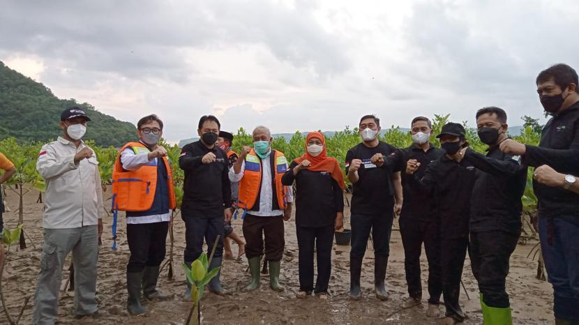 Dalam rangka puncak HUT Kabupaten Pacitan ke-277, Rumah Zakat bersama Komunitas Jangkar Segara Kidul di Dusun Kiteran, Desa Kembang, Kec. Pacitan, Kabupaten Pacitan mengadakan Penanaman Mangrove Bersama Gubernur Jawa Timur Khofifah Indar Parawansa dan jajarannya. 