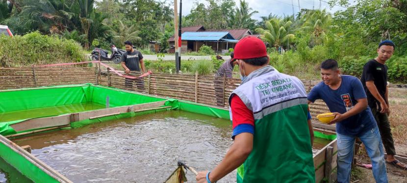 Dalam upaya mengembangkan pemberdayaan kelompok ternak lele, Relawan Rumah Zakat dan UPZ Permata Bank Syariah kembali melakukan kunjungan serta melihat perkembangan ternak lele di dua bulan terakhir. Dalam kunjungan tersebut, terlihat pertumbuhan ternak ikan lele yang sangat baik.