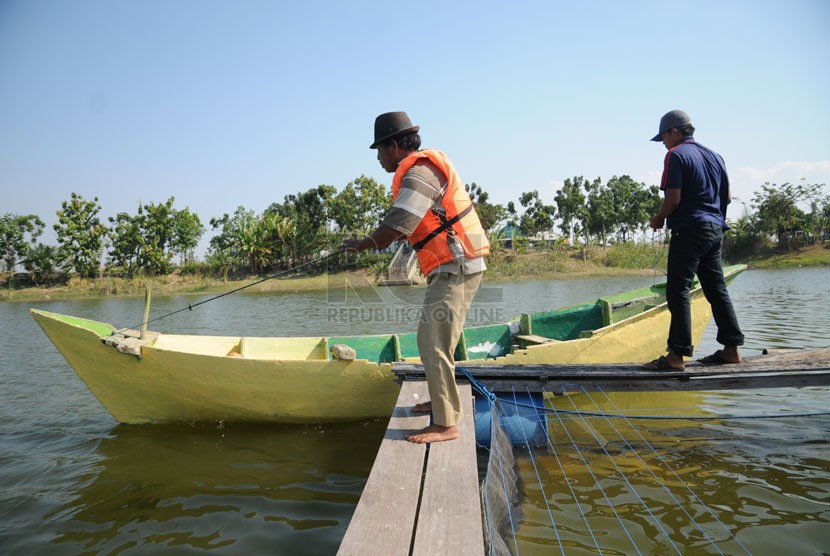  Peternak ikan budidaya ikan dalam keramba di danau bekas galian tambang Semen Gresik, anak perusahaan PT Semen Indonesia (Persero) Tbk di Desa Telago Waru, Tuban, Jawa Timur.  (Republika/Amin Madani) 