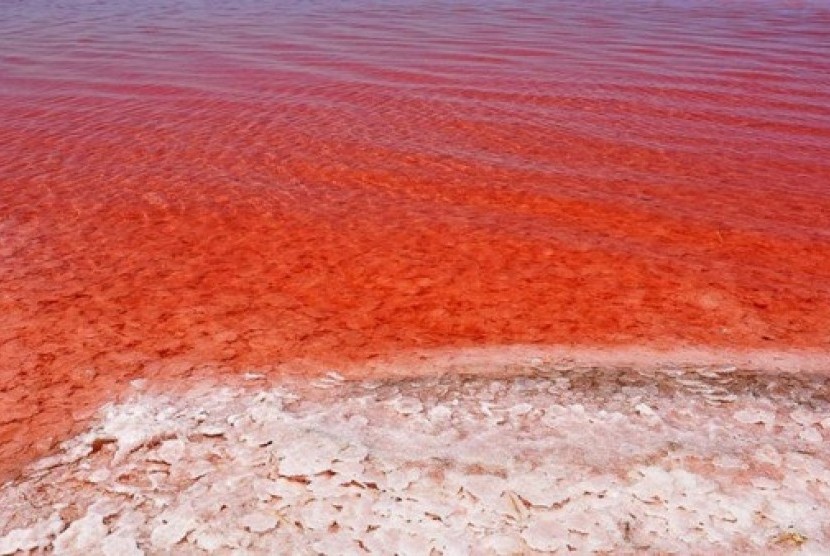 Danau Garam di Turki