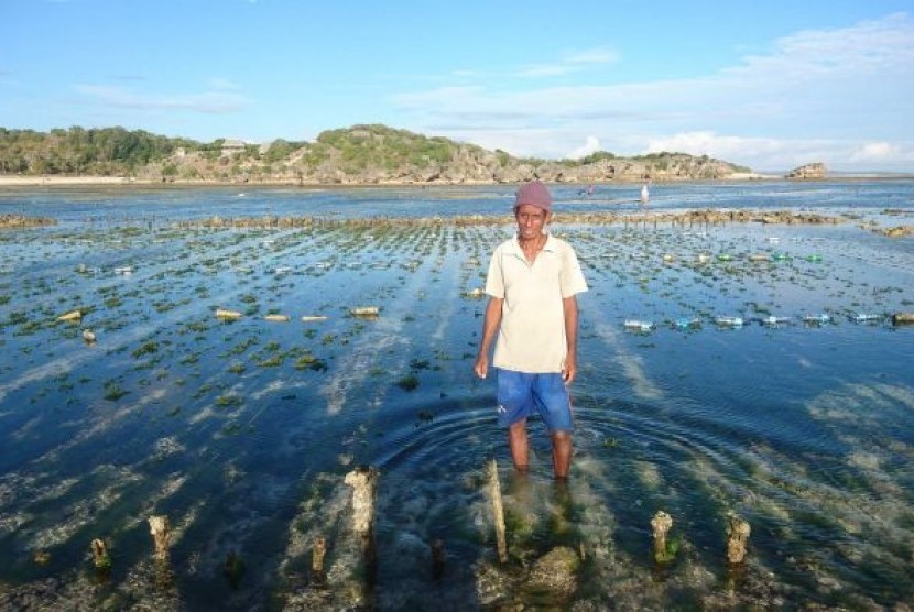 Daniel Sanda menjadi wakil dari petani rumput laut yang dirugikan di Timor karena pencemaran minyak.