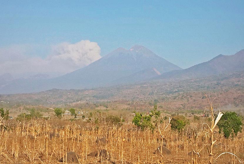 Debu vulkanik gunung Barujari menyembur dibalik puncak gunung Rinjani terlihat dari Kecamatan Pringgabaya, Selong, Lombok Timur, NTB, Rabu (4/11). 