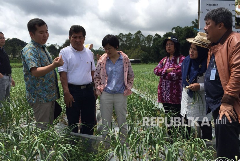Delegasi Cina bersama Kementerian Pertanian melakukan kunjungan peninjauan lahan tanam bawang putih.