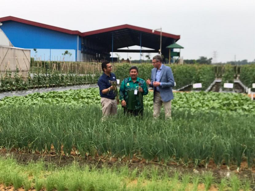 Delegasi Kementerian Pertanian Belanda mengunjungi pusat industri benih tanaman holtikultura di PT East West Seed Indonesia (Ewindo) di Kabupaten Purwakarta, Kamis (12/3). 