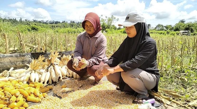 Demplot berhasil menaikkan status Tihuana dari Desa Tertinggal pada 2021 menjadi Desa Berkembang di 2023, dan menargetkan status Desa Maju pada 2025.