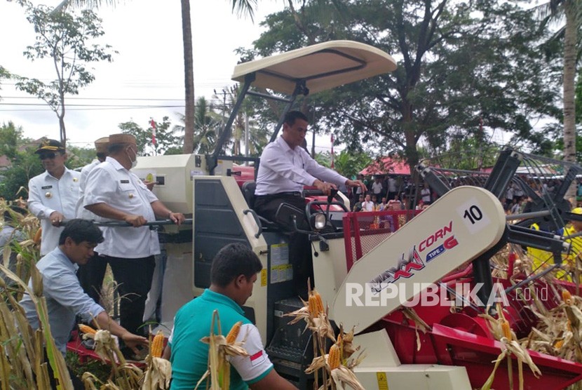 Dengan menggunakan alat pertanian, traktor, Mentan Andi Amran  Sulaiman melakukan panen raya jagung, di Kabupaten Gorontalo, Provinsi  Gorontalo, Rabu (30/1). 