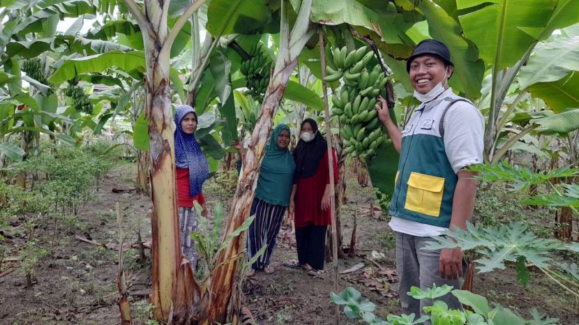 Desa Firdaus yang terletak di Kecamatan Sei Rampah Kabupaten Serdang Bedagai, Sumatera Utara merupakan salah satu desa yang menjalankan program ekonomi Pertanian Pisang Organik untuk pemberdayaan masyarakat Desa Firdaus lewat kerja sama PT BSI dengan Rumah Zakat.