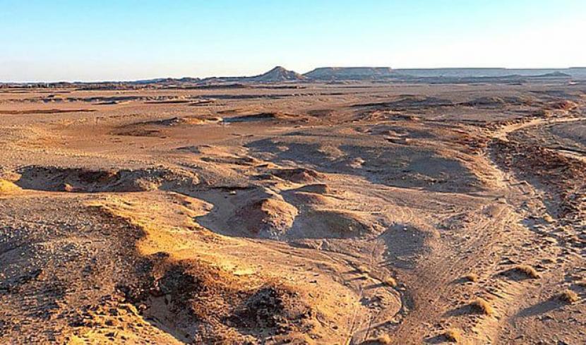 Desa Shuweihtia, Pemukiman Manusia Tertua di Jazirah Arab
