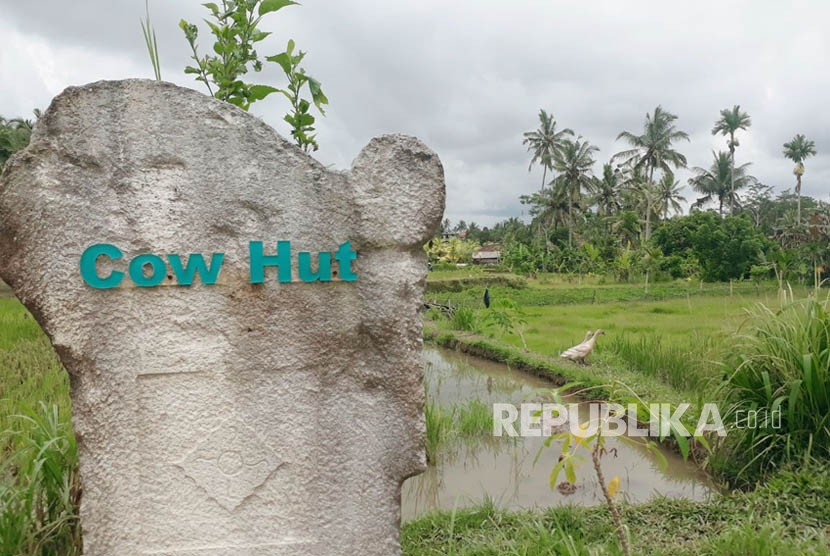 Desa Visesa atau Visesa Resort Hotel dan Villa merupakan destinasi wisata yang sedang hits di Ubud, Bali. Desa wisata ini mengintegrasikan kehidupan alam dan budaya lokal ke dalam pengalaman berwisata. 