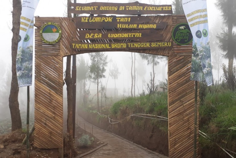 Desa wisata edelweis di Desa Wonokitri, Tosari, Kabupaten Pasuruan, Jawa Timur resmi dibuka, Sabtu (10/11). Selain Wonokitri, Desa Ngadisari di Kabupaten Probolinggo juga masuk ke dalam kategori wisata ini.