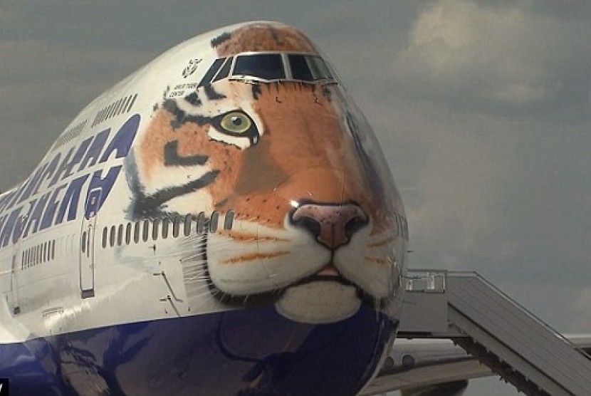 Desain Macan Amur di Transaero Airlines Moskow