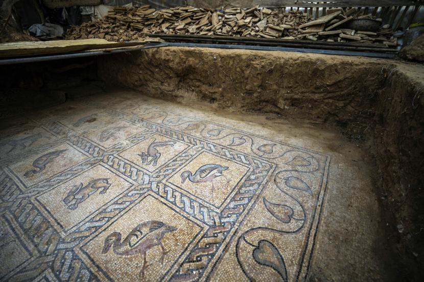 Detail bagian dari lantai mosaik era Bizantium ditemukan oleh seorang petani Palestina di Bureij di Jalur Gaza tengah, 5 September 2022. Pria itu mengatakan dia menemukannya saat menanam pohon zaitun musim semi lalu dan diam-diam menggalinya selama beberapa bulan. dengan putranya. Para ahli mengatakan penemuan mosaik - yang mencakup 17 gambar hewan dan burung yang terpelihara dengan baik - adalah salah satu harta arkeologi terbesar Gaza. Mereka mengatakan itu menarik perhatian pada kebutuhan untuk melindungi barang antik Gaza, yang terancam oleh kurangnya sumber daya dan ancaman terus-menerus berperang dengan Israel.