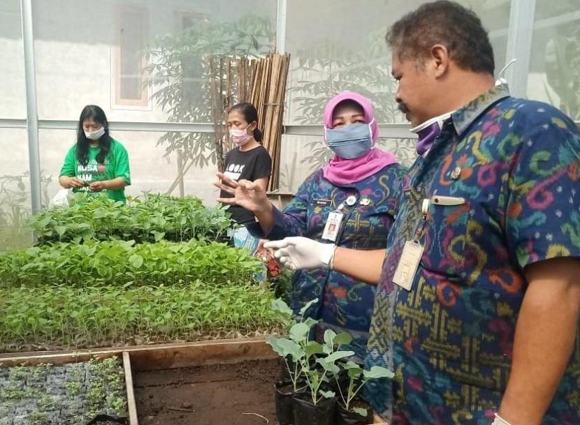 Di tengah pandemi Covid-19, KWT Salatiga sulap pekarangan jadi lumbung pangan.