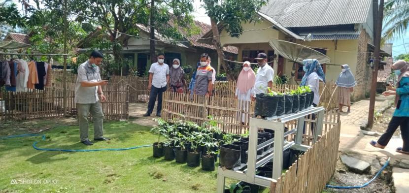 Dinas Ketahanan Pangan Kabupaten Pandeglang melakukan kunjungan ke Kebun Hijau Berkah yang dikelola  Ibu-ibu KWT Hijau Berkah binaan Relawan Desa Berdaya Cikeusik pada Jum’at (18/6).