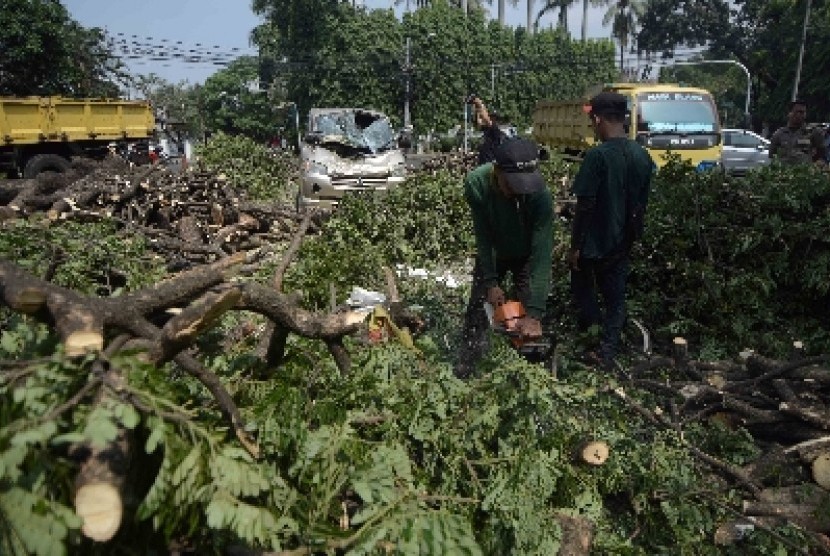 Dinas Pertamanan dan Pemakaman Provinvi DKI Jakarta membersihkan pohon yang tumbang.