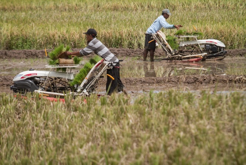Dinas Pertanian, Pangan dan Perikanan Kabupaten Sleman terus mencoba langkah-langkah baru untuk meningkatkan produksi padi kelompok tani. Satu yang baru dilakukan mengembangkan sistem bertani Alat Mesin Pertanian (alsintan).